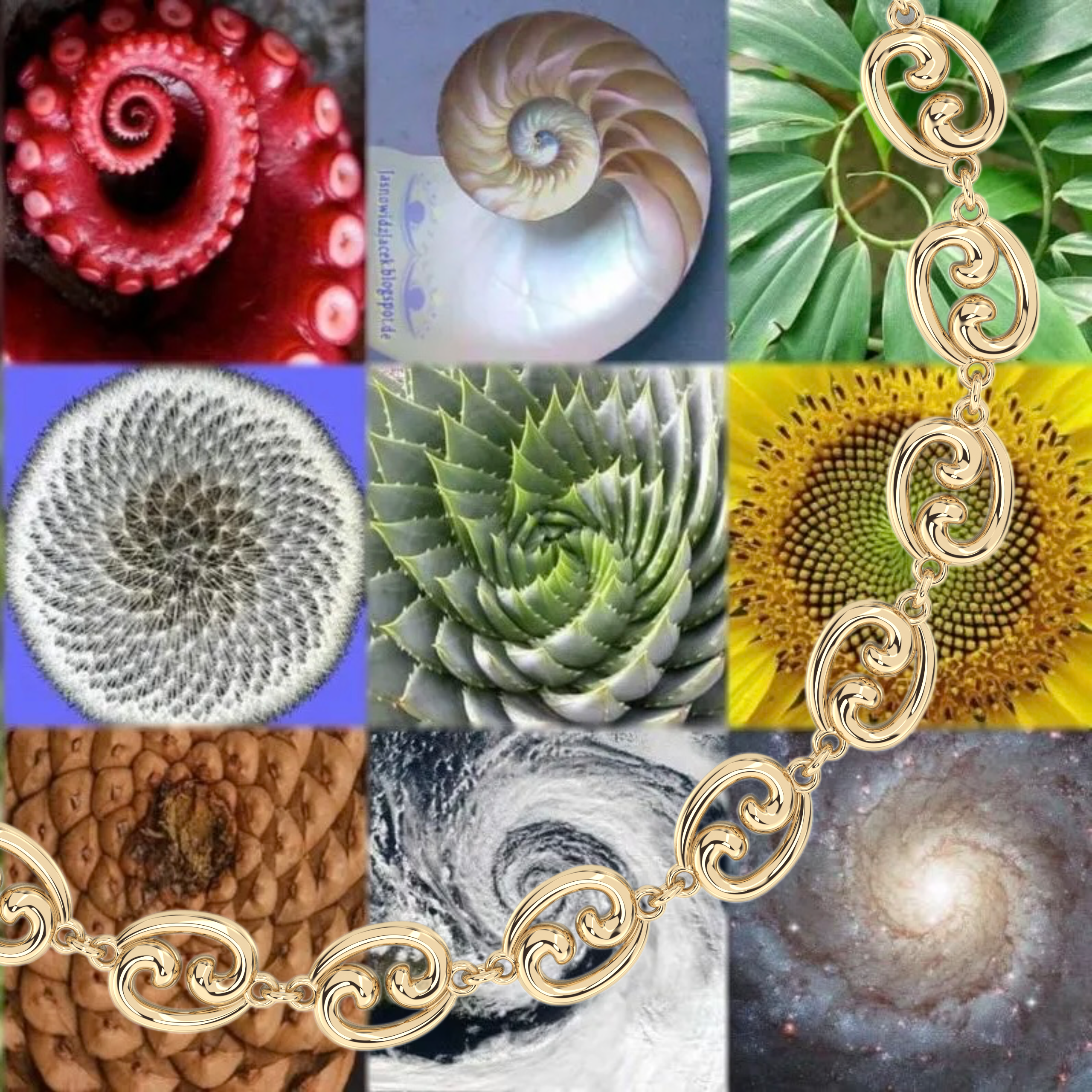 Sacred geometry with Fibonacci spiral and our Leni James Fibonacci link gold bracelet